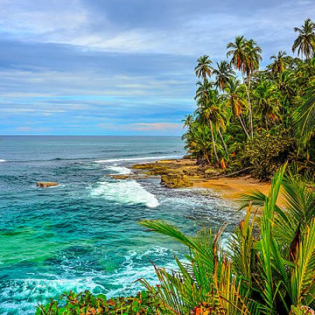 Wild caribbean beach of Costa Rica - Manzanillo - in the south of costa rica - close to Panama